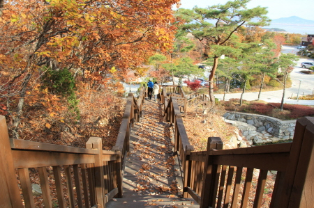 석모도 수목원 "가을 옷으로 갈아입다"