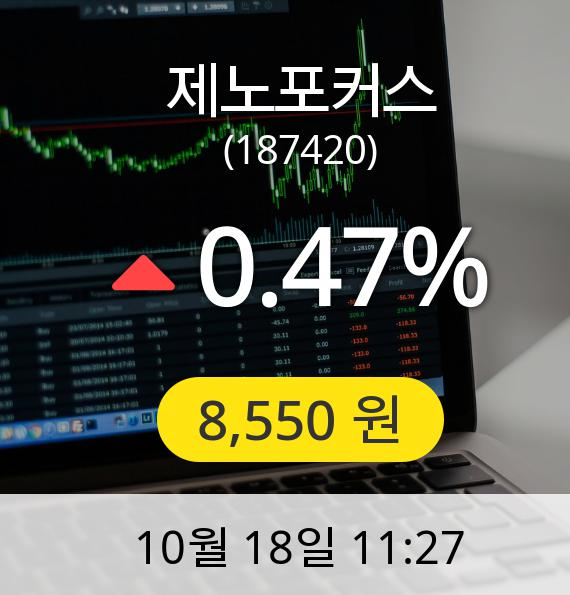 [제노포커스주가] 18일 오전 11시 27분 8,550원