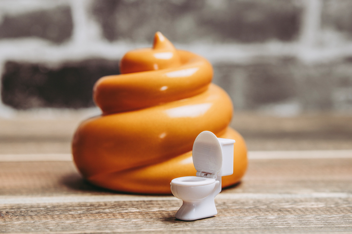 [혈변 원인]대변에 피가 나면 '이것' 의심하자