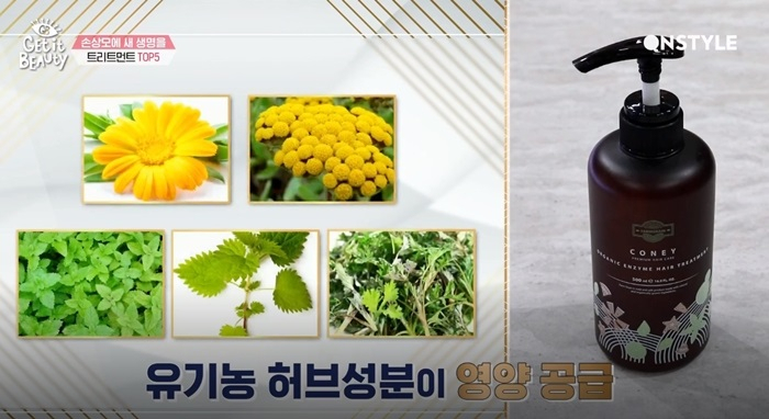 겟잇뷰티 손상모 관리 뷰라벨 1위, 안나플러스 헤어에센스 트리트먼트