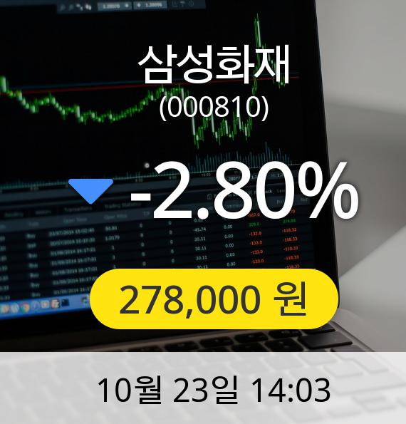 [삼성화재주가]  278,000원