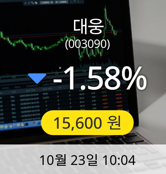 [대웅주가] 15,600원