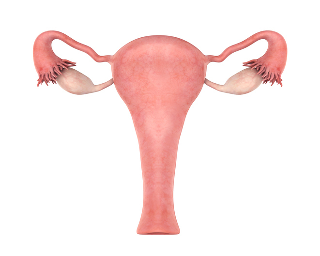 불규칙한 생리의 원인, 다낭성 난소증후군을 알아보자