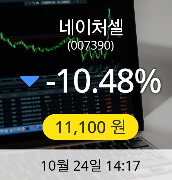 [네이처셀주가]  11,100원
