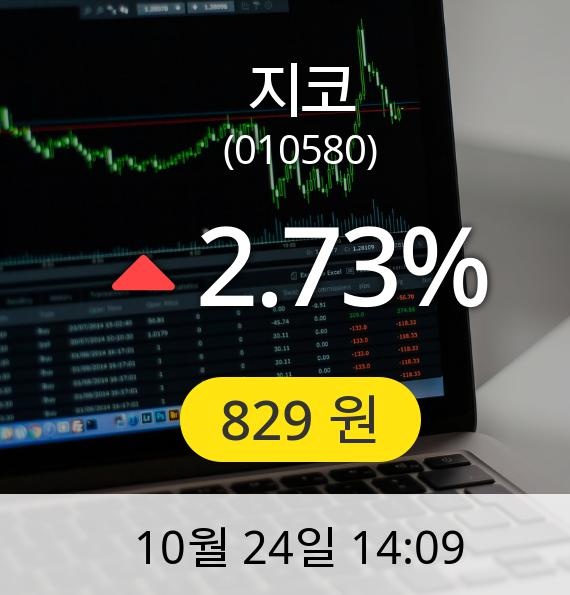 [지코주가]  829원
