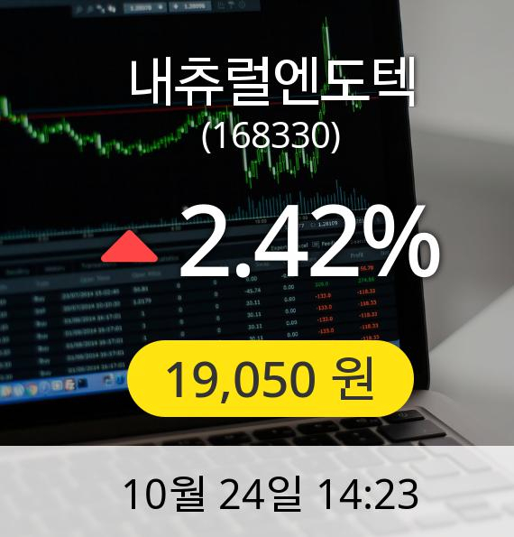 [내츄럴엔도텍주가]  19,050원