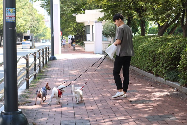 파양비부터 각종 질병 상담까지. 유기동물보호소 '도그마루' 파양 강아지, 고양이 보호관리 진행