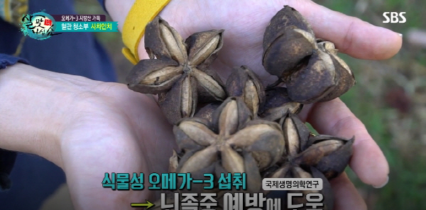 오메가3,오메가6로 염증과 당뇨 물리치는 방법은...'코시니아와 사차인치'