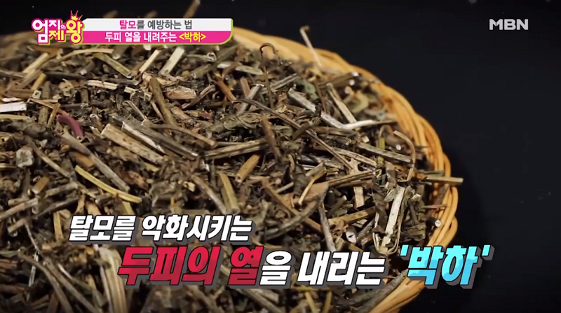 [▣오늘의TV] 두피열 내리는 박하 효능? 박하차+박하미스트 만드는법! 비듬 없애는 올바른 샴푸법으로 탈모치료하기