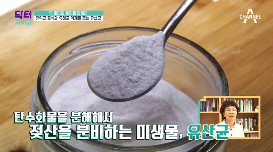 [▣오늘의TV] 환절기 면역력높이는음식 '유산균가루' 이용한 레시피, 프로바이오틱스 유산균 효능 뭐길래?