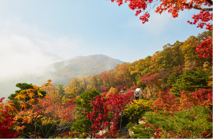 [11월 여행지 추천] 곤지암 화담숲으로 서울 근교 당일치기 여행 떠나 곤지암 리조트에서 숙박 해결!