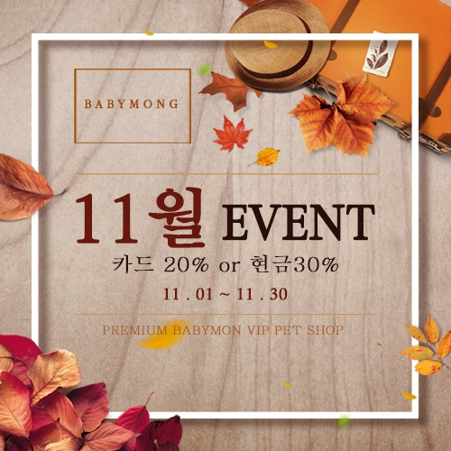 포메라니안, 비숑프리제 강아지 분양 전문 베이비몽, 애견분양시 할인