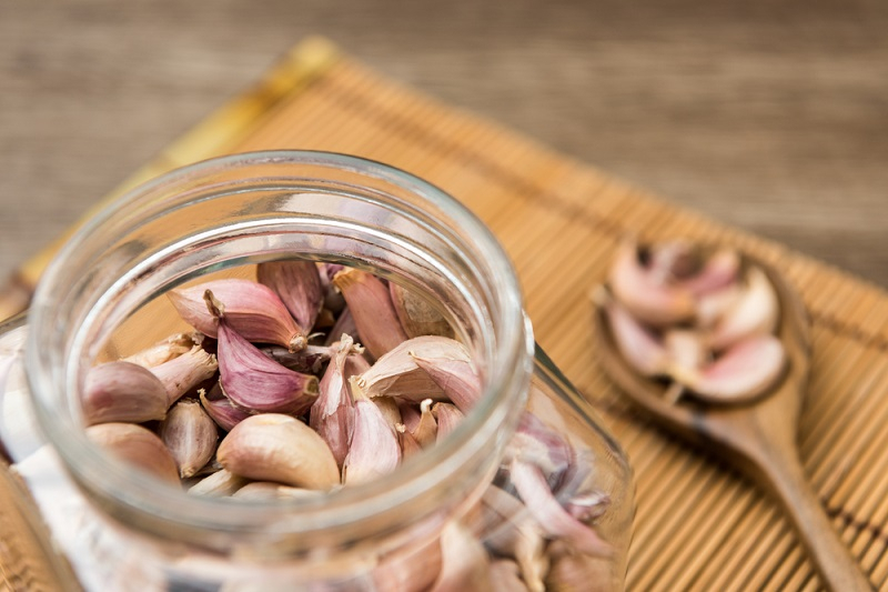 항암식품 마늘? 고양이에겐 치명적인 '독소'