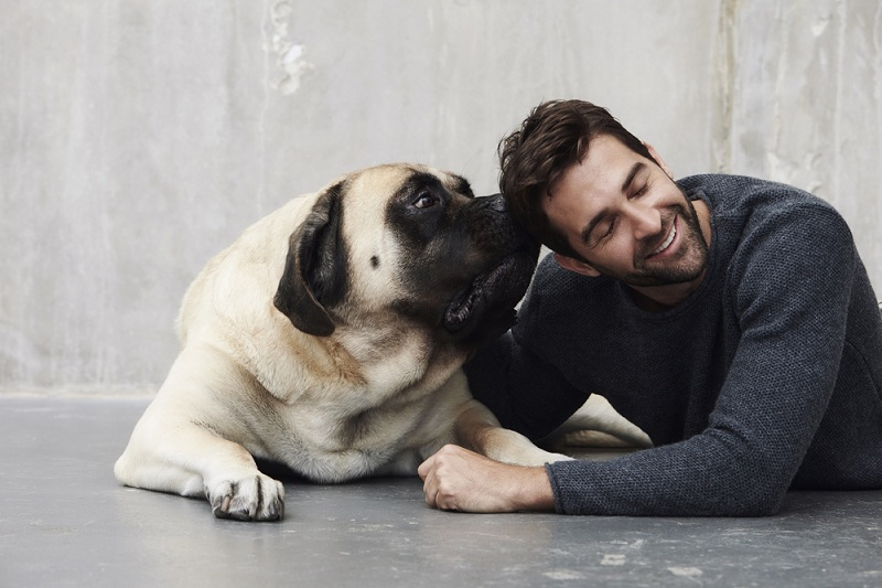 혹독한 훈련 후 사람의 질병을 냄새로 알아내는 탐지견