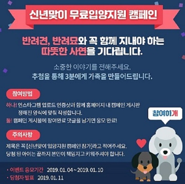 대형 펫 브랜드 '도그마루' 이벤트, 화제