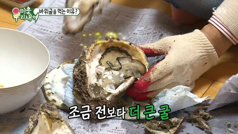 바위굴 효능 이정도였어? '미운우리새끼'에도 등장한 '바위굴' 크기 '상상초월' 여름 제철 음식