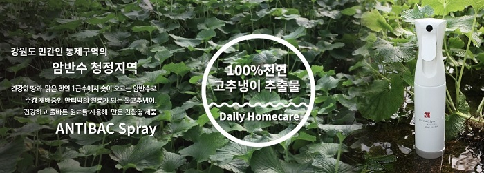 위블로우, 황금돼지의 해 2019 맞이 홈페이지 100일의 행복 이벤트 진행