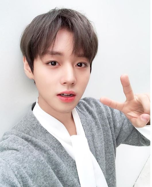 [스타☆톡] 워너원 강다니엘·박지훈 이어 옹성우도 인스타그램···모두 솔로? 아이오아이와 다른 길 간다