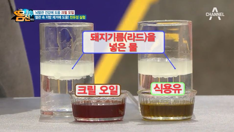 '나는 몸신이다' 크릴오일 당뇨에 좋은 음식으로 입소문... 다이어트 효능까지 오메가 3의 주성분이다?