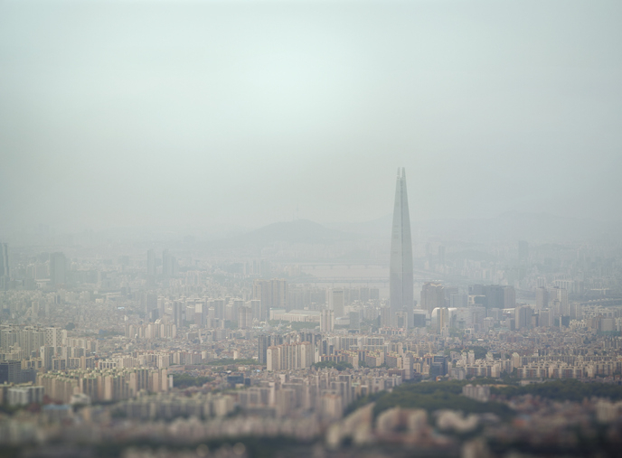 '미세먼지 나쁨 예보' 스투키·아이비·틸란드시아·아케카야자 등 공기 정화 식물 키우기 tip