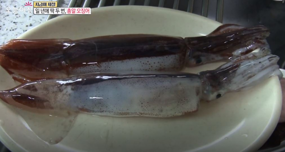 일년에 딱 두번만 만날 수 있는 '총알오징어', 찌는법은?…총알오징어스파게티 만드는 법까지