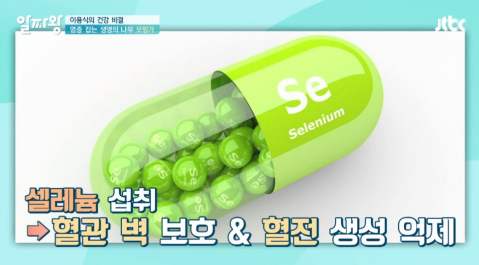 주부들 사이 인기 초절정...미세먼지 극실할 때 좋은 슈퍼푸드 모링가 효능은?