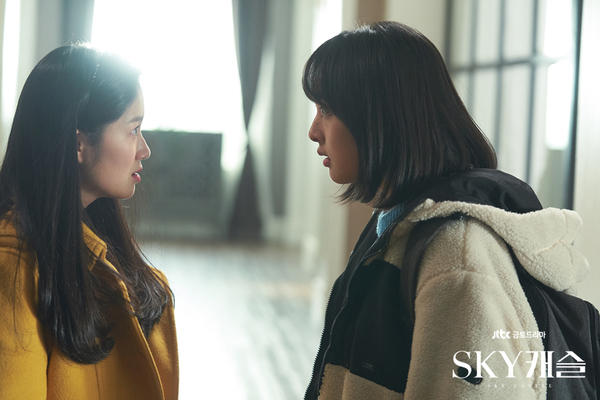 '스카이(SKY)캐슬' 17회 스포·대본유출·결방 논란에도 도깨비 최고 시청률 넘어서.. 마지막회 결말은 과연?
