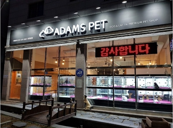 인천·일산·수원 강아지분양 & 고양이분양 아담스펫, 포메라니안·비숑프리제·먼치킨·러시안블루 최대 50% 할인분양 중