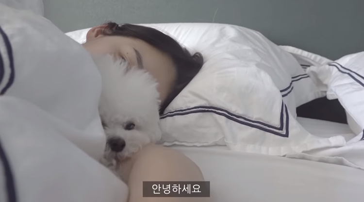 너도나도 브이로그(Vlog), 신세경, 강민경, 아이유 쓰는 카메라, 어플 뭘까... 태연, 윤보미, 등 여자 연예인 유튜버 증가