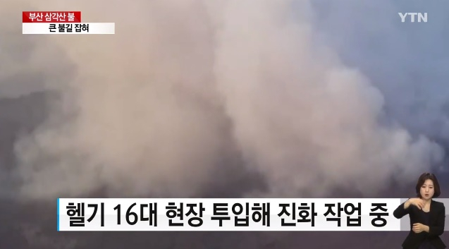 "농막에서 쓰레기 태우다가?" 부산 기장 산불 원인 눈길 …부산 기장 삼각산 이어 두번째 산불