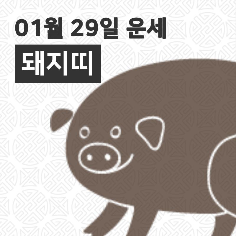 [29일 오늘의운세]돼지(亥)띠 운명과 일일운수