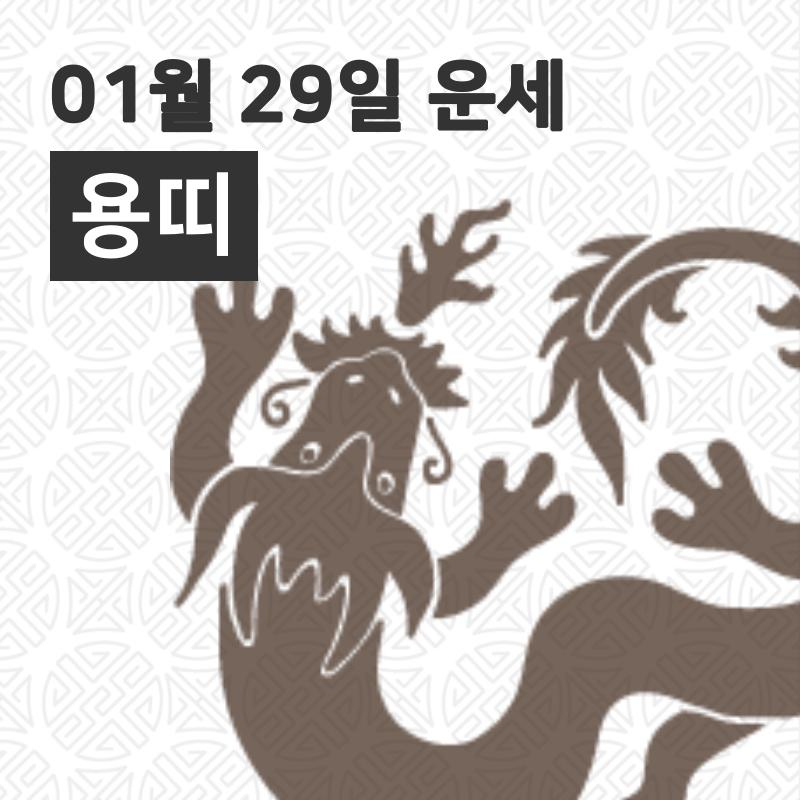 [29일 오늘의운세]용(辰)띠 일간운세는?