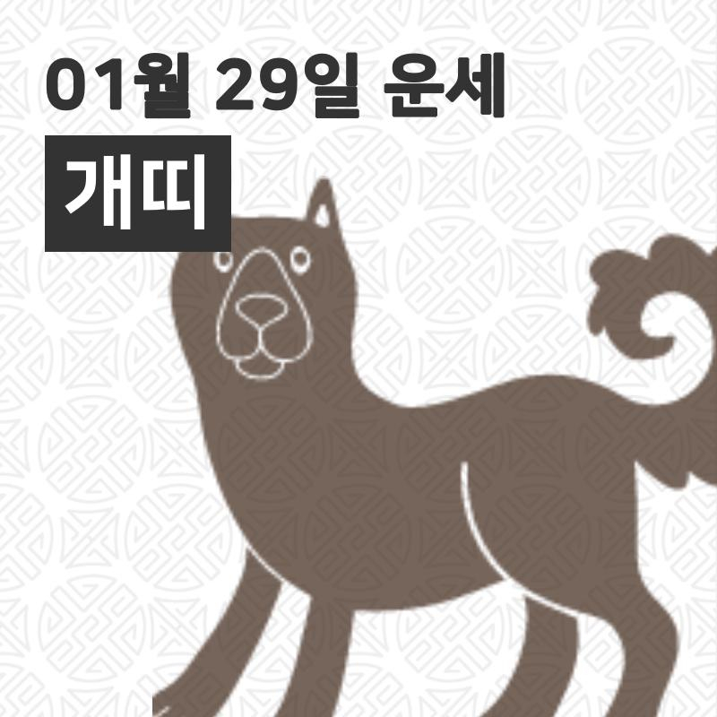 [29일 오늘의운세]개(戌)띠 운명과 일일운수