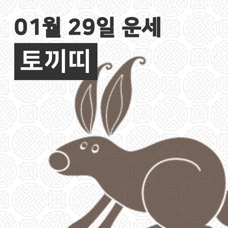 [29일 오늘의운세]토끼(卯)띠 운명과 일일운수