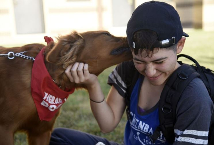 반려동물 '개', 정말 특별한 동물일까?