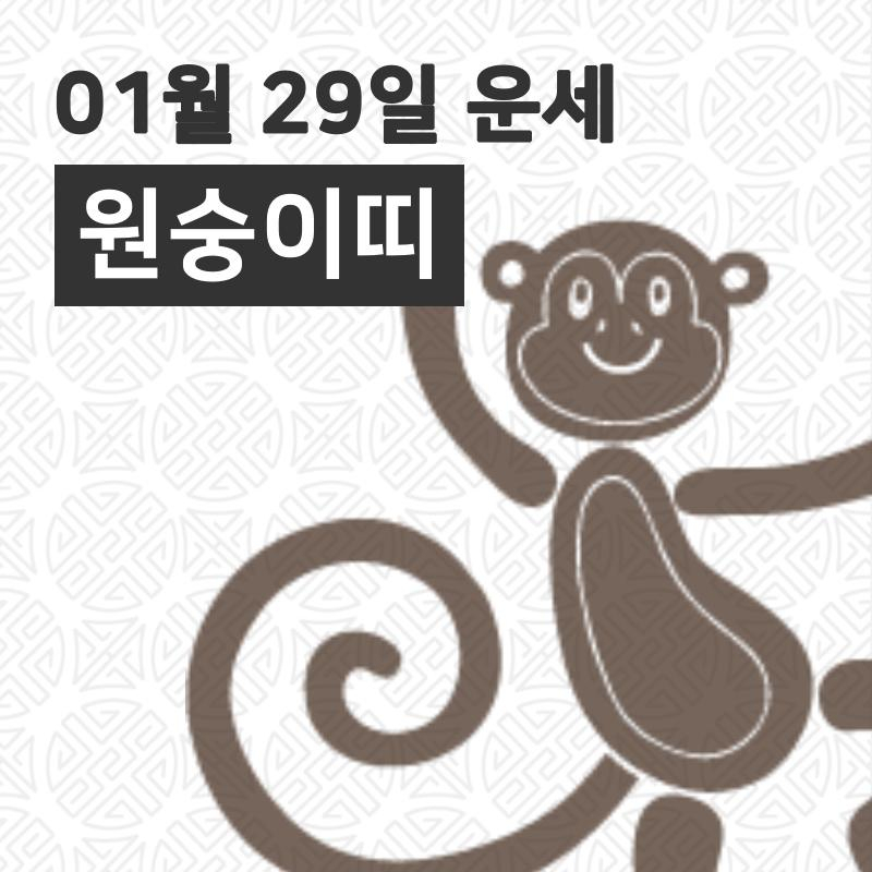 [29일 오늘의운세]원숭이(申)띠 운명과 일일운수