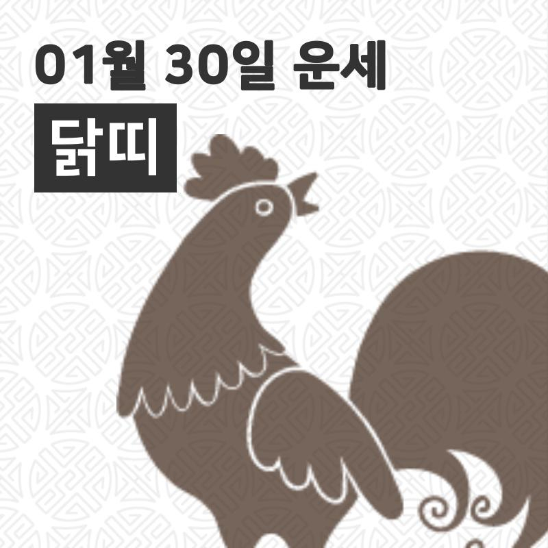 [30일 오늘의운세]닭(酉)띠 오늘의 운세는?