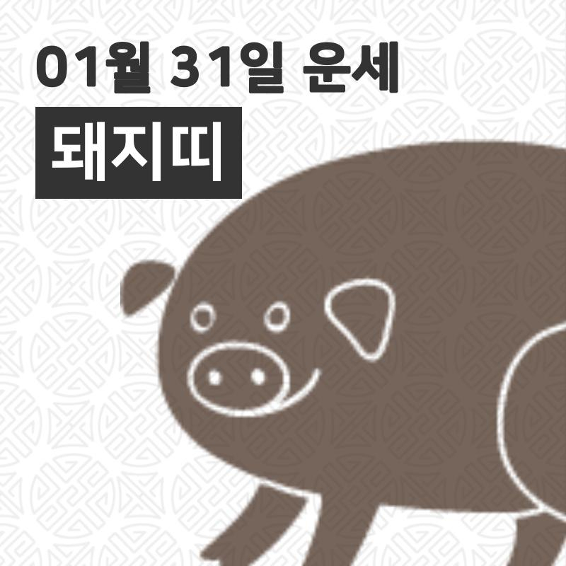 [31일 오늘의운세]돼지(亥)띠 일간운세는?