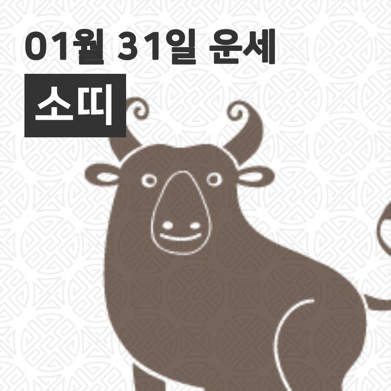 [31일 오늘의운세]소(丑)띠 운명과 일일운수