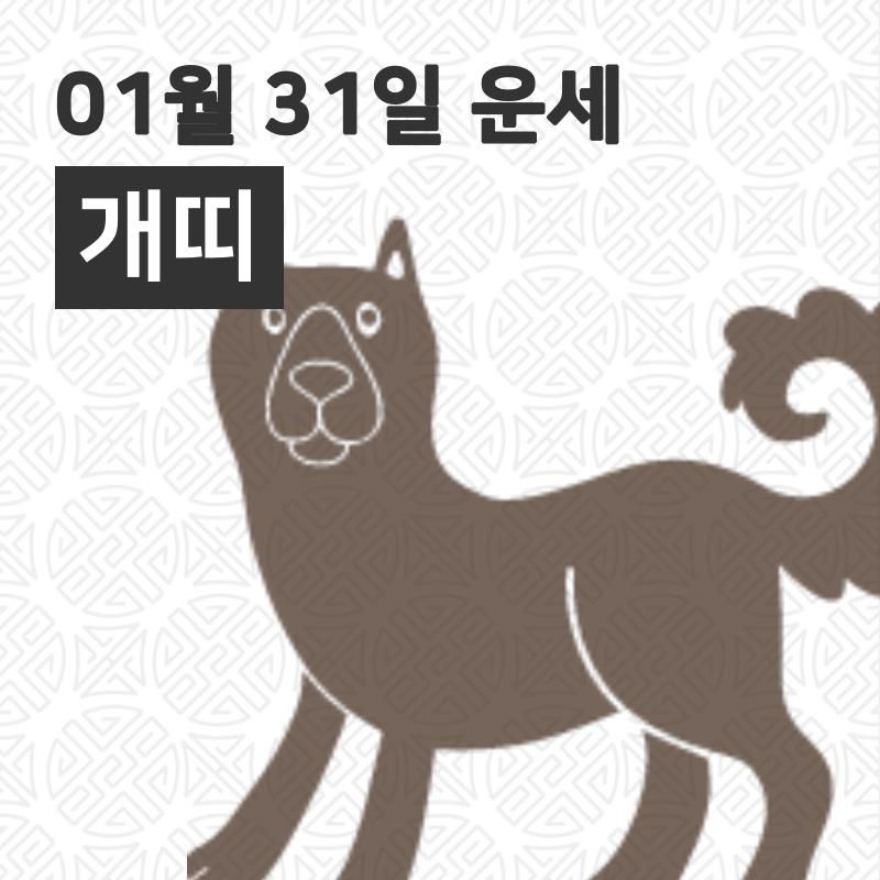 [31일 오늘의운세]개(戌)띠 일일운세