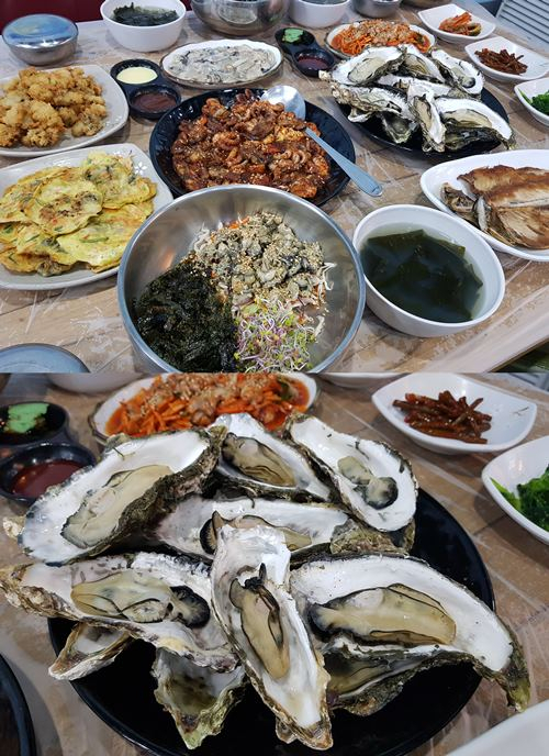 남해 바다의 보물 '굴', 겨울 식도락객 입맛 사로잡은 통영 맛집 '동피랑쭈굴'