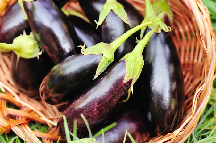 [간단한 아침밥] '다이어트 음식' 가지, 가지볶음·가지무침·가지덮밥·가지밥 황금 레시피는?