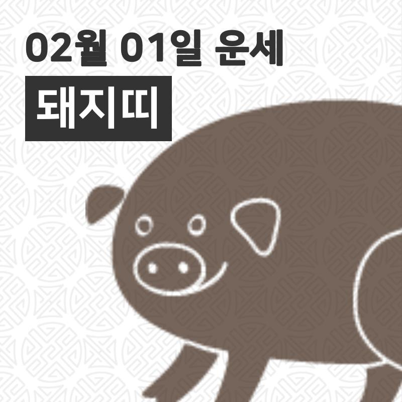 [1일 오늘의운세]돼지(亥)띠 일일운세