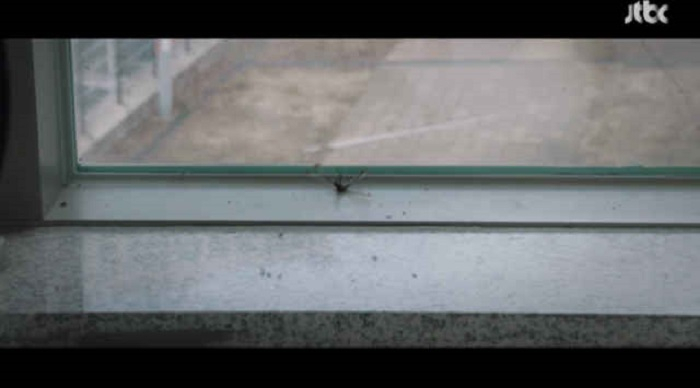 [▣오늘의TV] 스카이캐슬 스포·대본유출·20회 결말까지 소문무성한 스카이캐슬의 모든 것