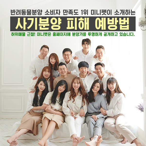 수원, 일산, 강남 강아지, 고양이분양 미니펫, 비숑프리제, 포메라니안, 토이푸들 사기분양 예방법 알려