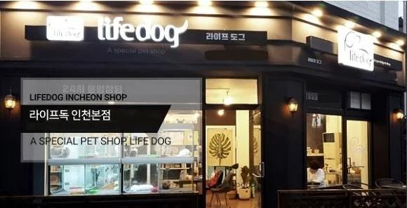 인천강아지분양브랜드 '라이프독', 인천, 부천 지역 분양고객 위한 다양한 프로모션과 혜택 제공