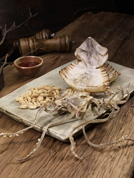 제철음식 총알오징어 먹는 방법