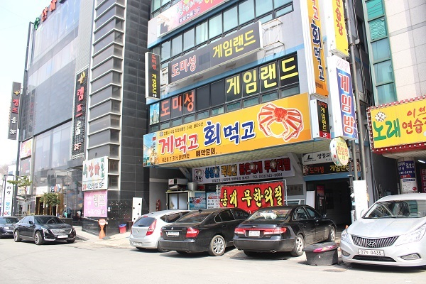 강원도 원주맛집 게먹고회먹고에서 홍게 무한리필로 푸짐하게 즐길 수 있어