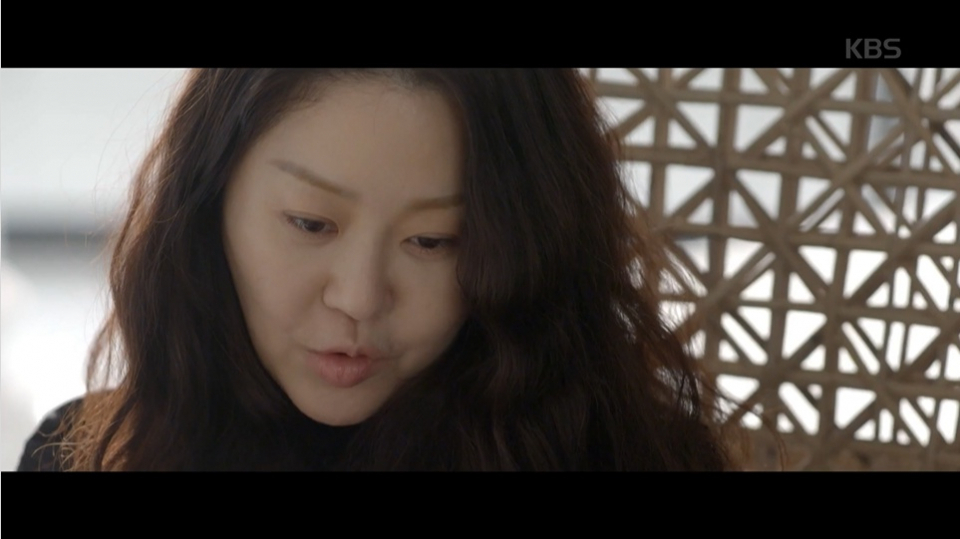 '조들호2' 결방에도 멈추지 않는 고현정 연기력 논란.. 작가 비난까지, 원작은? 인물관계도까지