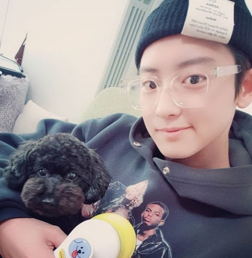 찬열, 연예인 볼링단 '팀원' 소속? 떡볶이 레시피 연관검색어도 화제